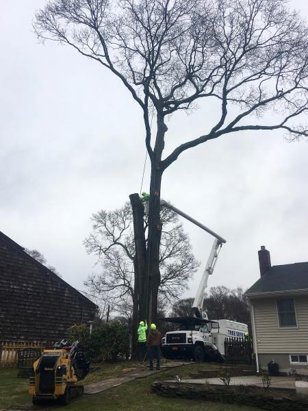 Kiel's Tree Care