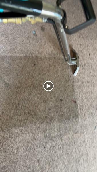 Go Carpet Cleaning