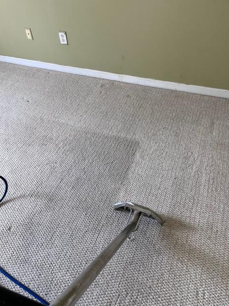 Go Carpet Cleaning