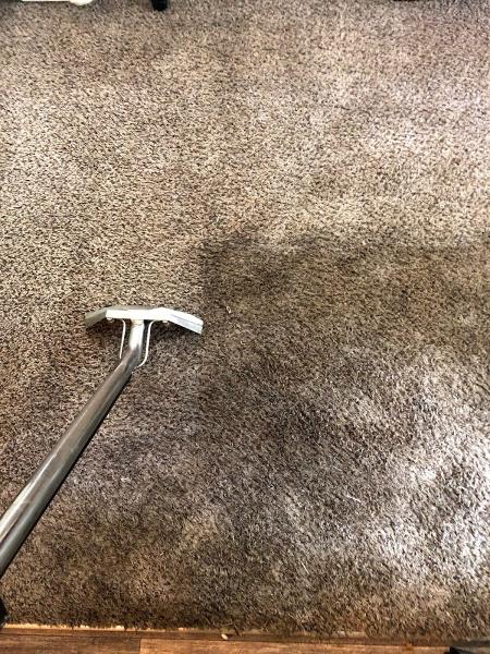Go Carpet Cleaning
