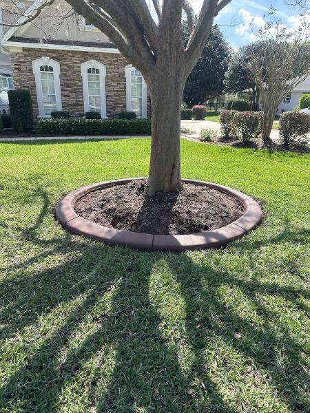 Munoz Curbing Landscaping