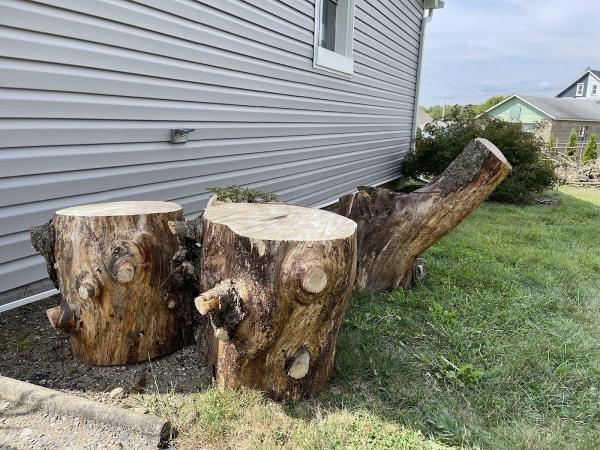 J.C Tree Service