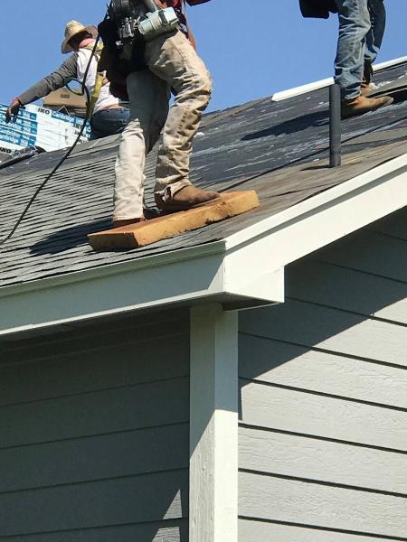 CBX Roofs