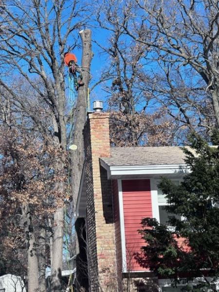 Minnesota's All Year Tree Care LLC