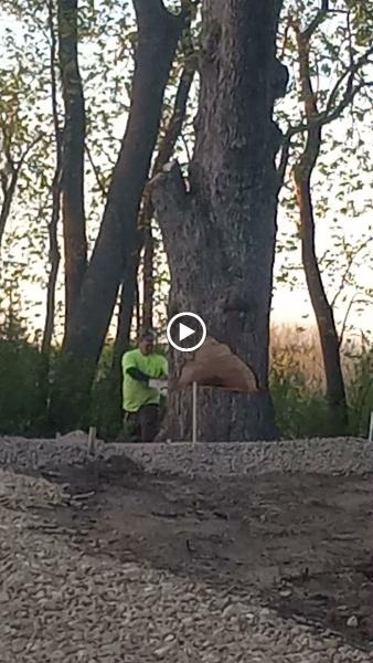 Minnesota's All Year Tree Care LLC