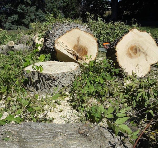 Larned Tree Service