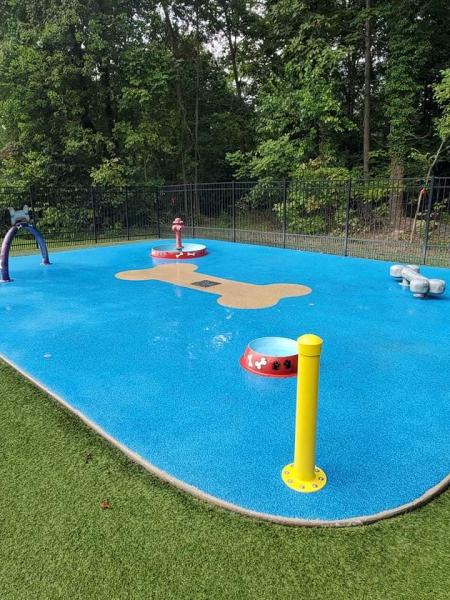 D&D Pressure Washing