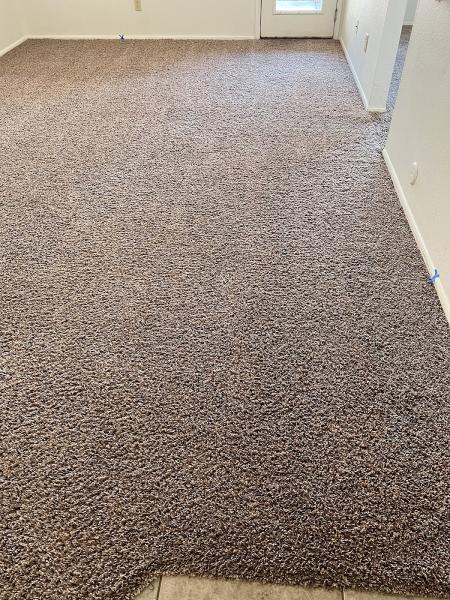 Clearly Clean Carpet