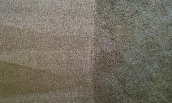 Clearly Clean Carpet