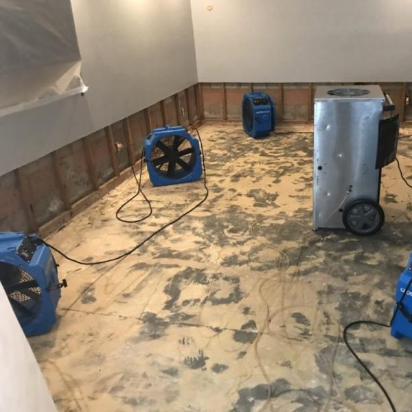 Water Damage Restoration Orlando