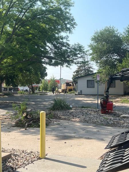 Tree Wise Men Professional Tree Care