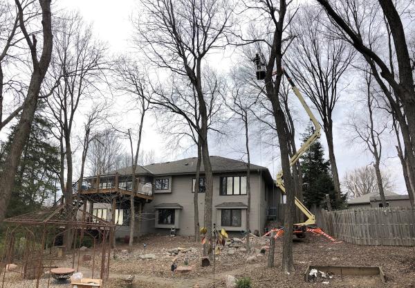 Tree Wise Men Professional Tree Care