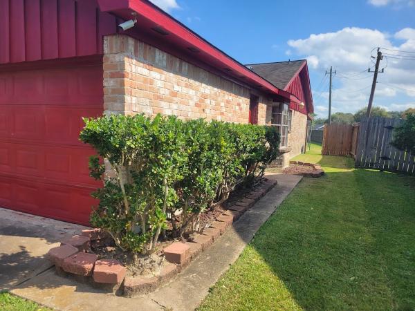Texas Clean Cut