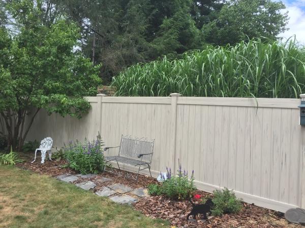 Aldi Fence