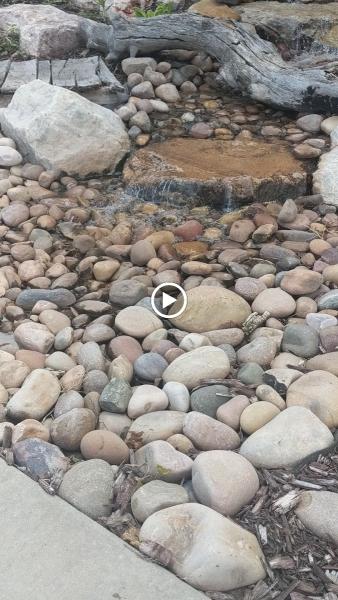 Parker Rock 'N' Dirt