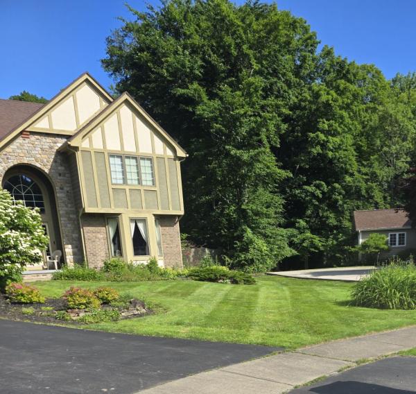 Ada's Lawn Care LLC