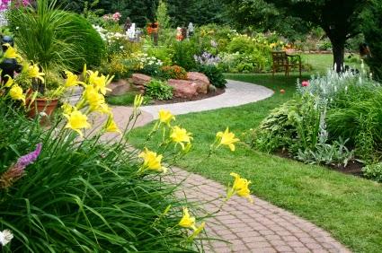 Vegetation Control Lawn Care