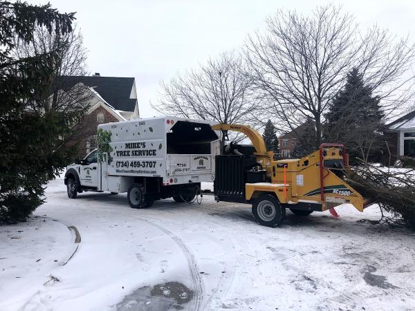 Mike's Tree and Stump Service