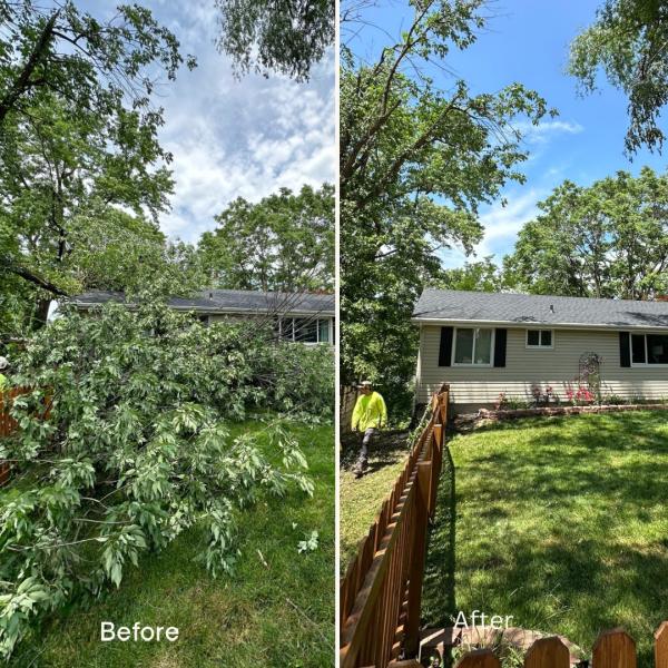 Steve's Trees and Contracting