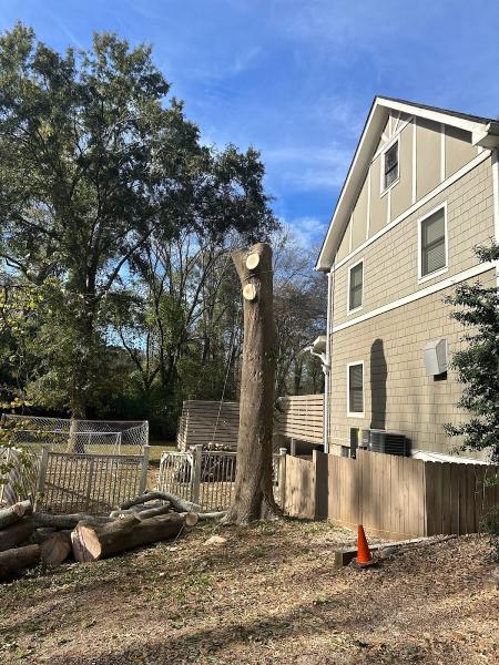 Guzman's Tree Services LLC