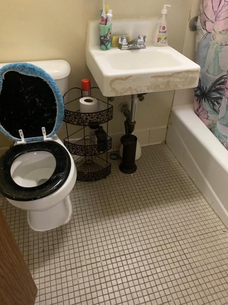 Bio-Classic Cleaning