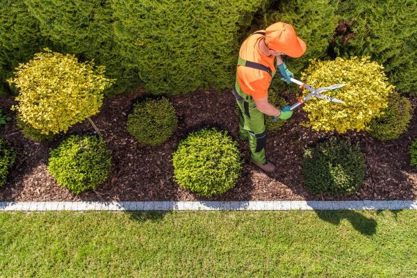 Go Green Landscape