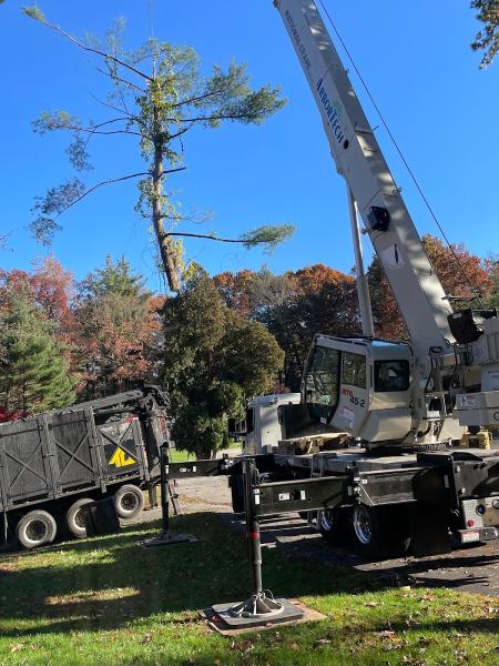 Tree Corporation