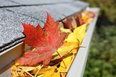 Fort Wayne Gutter Cleaning Service & More