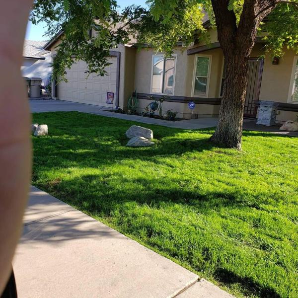 Knockitoutlawncare