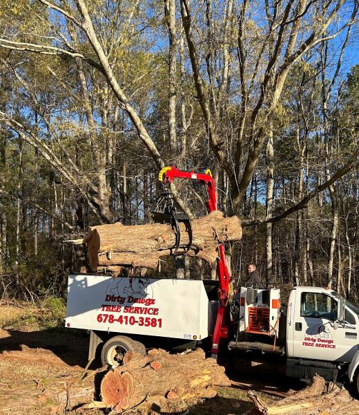 Dirty Dawgz Tree Service