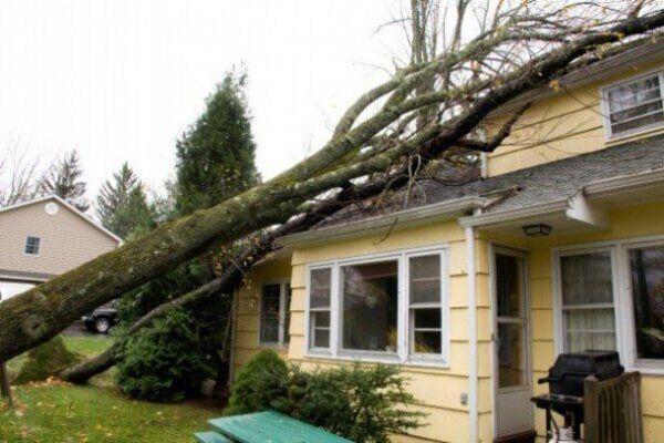 Pipkin Home Improvements