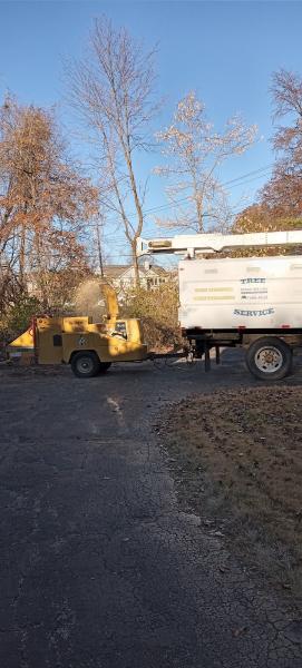 Dorian Tree Care