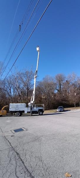 Dorian Tree Care