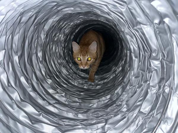 Healthy Duct Property Services