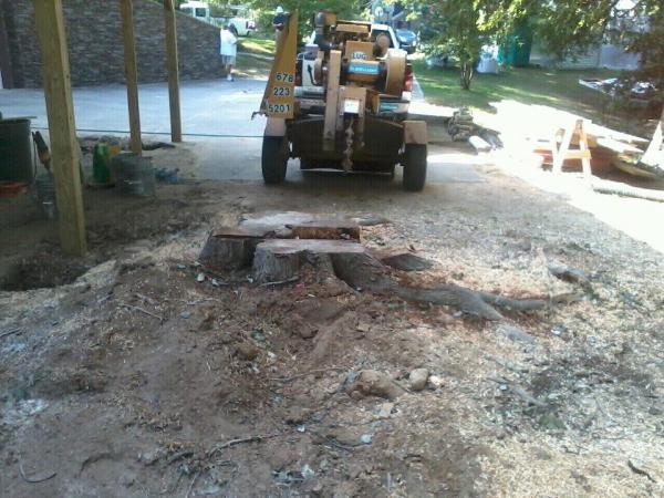 Stump Man