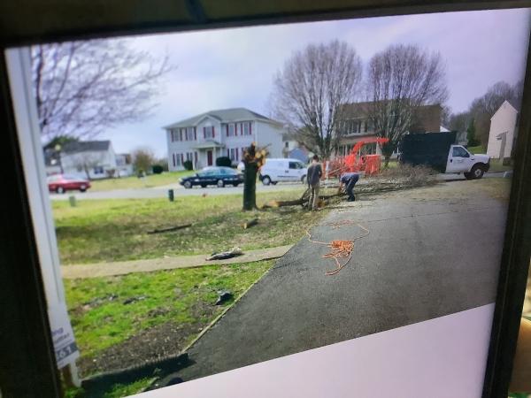 Landaverde Landscaping and Tree Removal