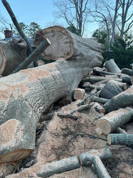 Landaverde Landscaping and Tree Removal