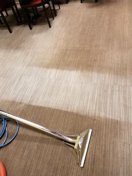 Steam Deluxe Carpet Cleaning