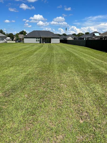 Above All Else Lawn Care