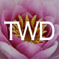 Tara Watt Design