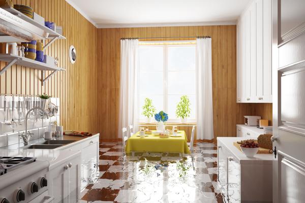 Deluge Doctors Restoration