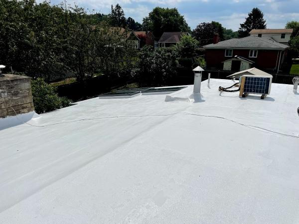 Dynamic Roofing Solutions