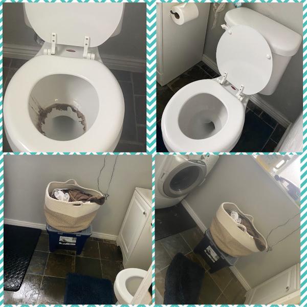 Lene's Shiny Cleaning Services LLC