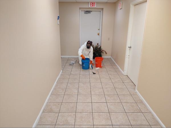 Odors Gone Today