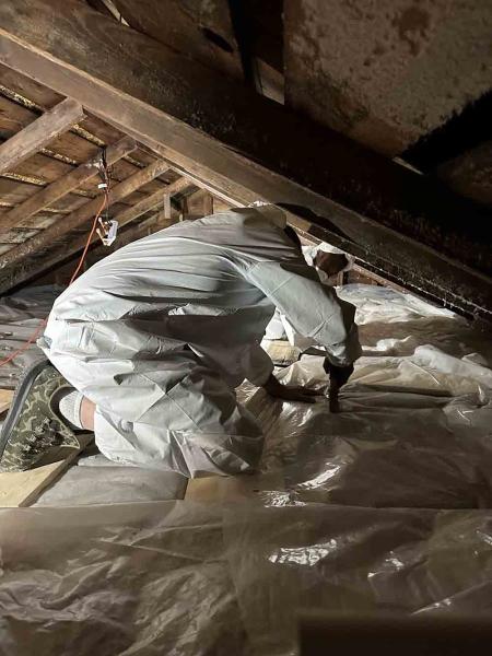 Regional Mold LLC Property Restoration Services