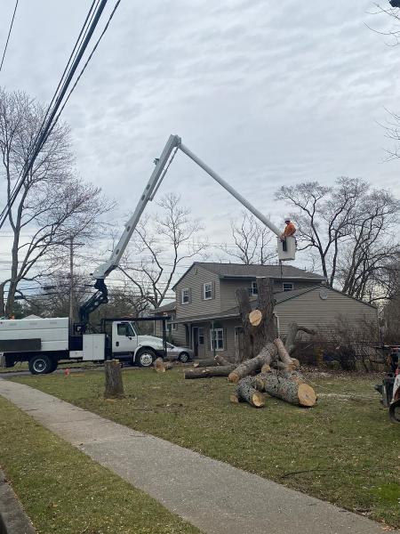 Precision Tree Experts