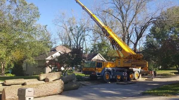 Precision Tree Experts
