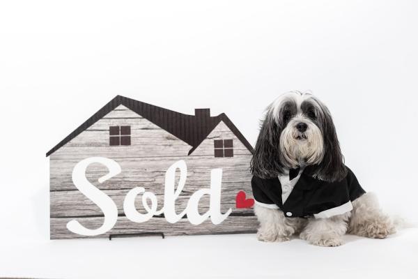 Moonkeys Real Estate Corp