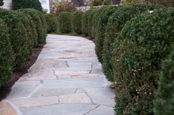 Colandro & Imbrogno Masonry