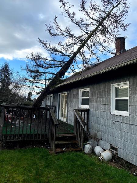 Wildwood Tree Care